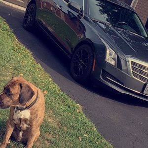 Meet your Posher, Josh